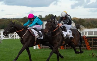 Today's Horse Racing Tips: Friday December 17th