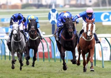 Today's Horse Racing Tips: Sunday January 9th
