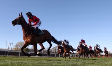 Today's Horse Racing Tips: Sunday December 12th