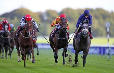 Today's Horse Racing Tips: Thursday December 30th
