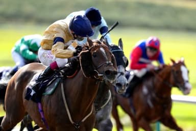 Today's Horse Racing Tips: Sunday January 23rd