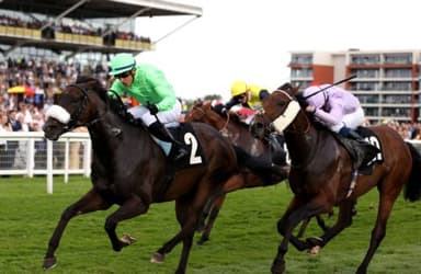 Today's Horse Racing Tips: Wednesday December 15th