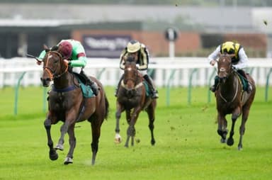 Today's Horse Racing Tips: Friday December 31st