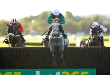 Today's Horse Racing Tips: Friday January 7th