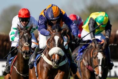Today's Horse Racing Tips: Tuesday December 14th